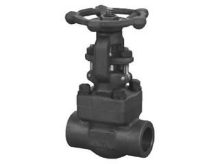 Forged Steel Gate Valve