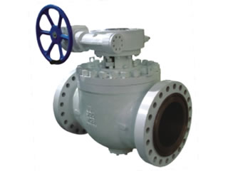 Top Entry Ball Valve