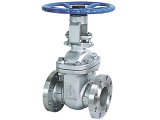 Cast Steel Gate Valve