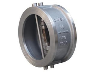Dual Plate Check Valve