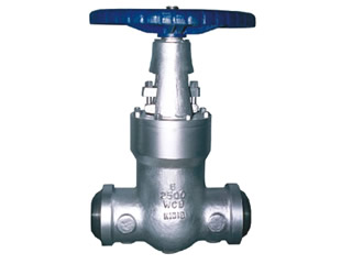 Pressure Seal Gate Valve