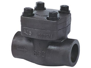 Forged Steel Check Valve